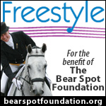 The Bear Spot Foundation