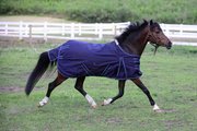 EOUS Lightweight Pony Turnout