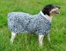 EOUS Print Dog Fleece Rug